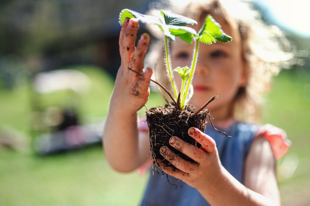 Small girl with dirty hands outdoors in garden, sustainable lifestyle concept